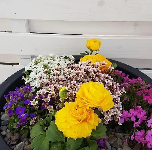 Jaktstuga Kaper Karwia